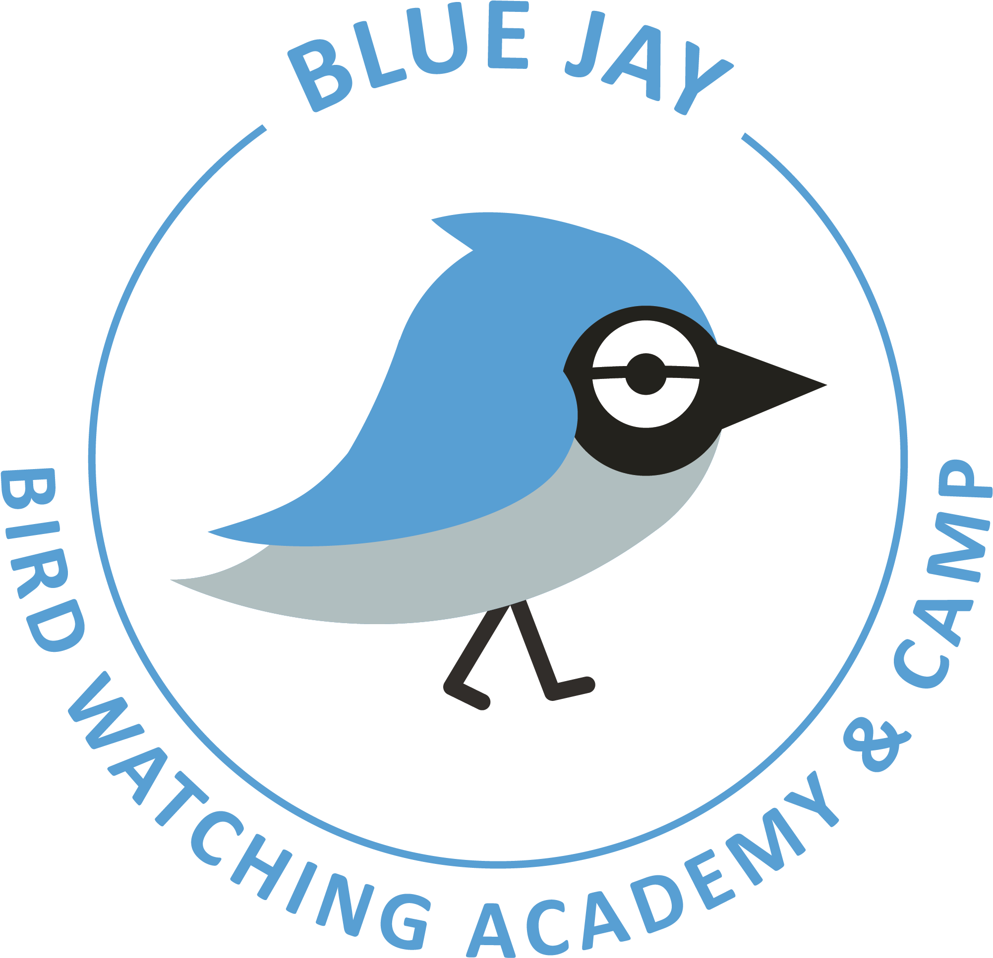 Transparent Blue Jay Feather Clipart - Old World Flycatcher - Png Download (2003x1934), Png Download