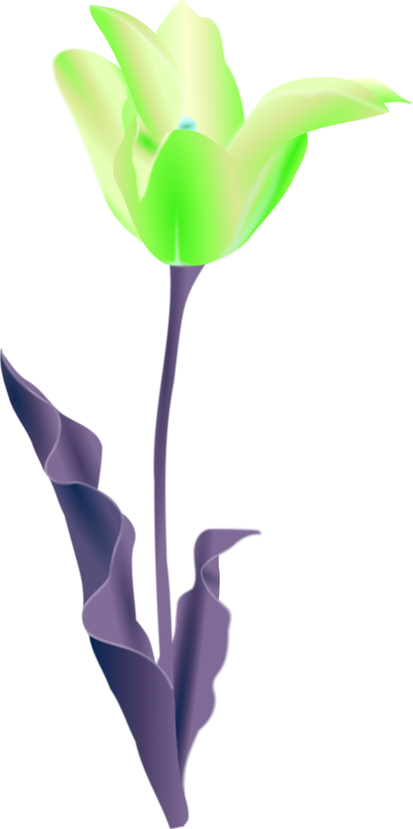 Transparent Tulip Flower Plant Flora Clipart For Flowers - Tulip Clip Art - Png Download (598x1200), Png Download