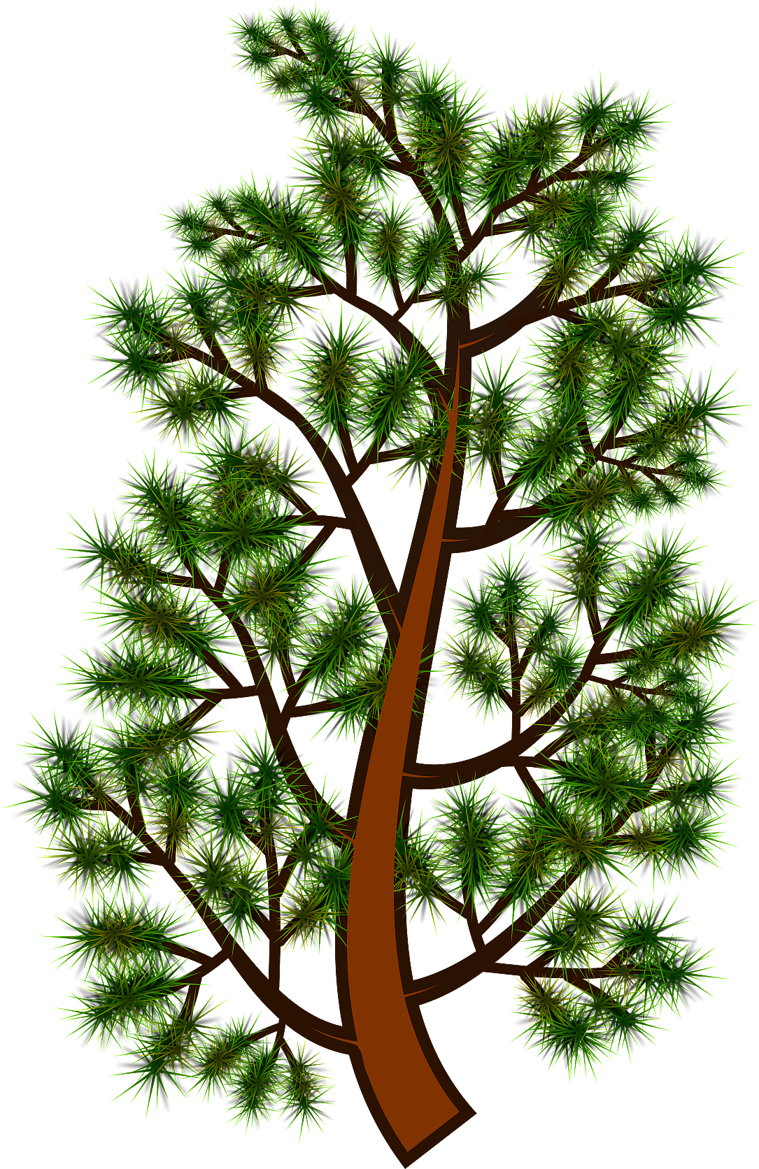 Pine Treebranch Clipart - Png Download (1357x1920), Png Download