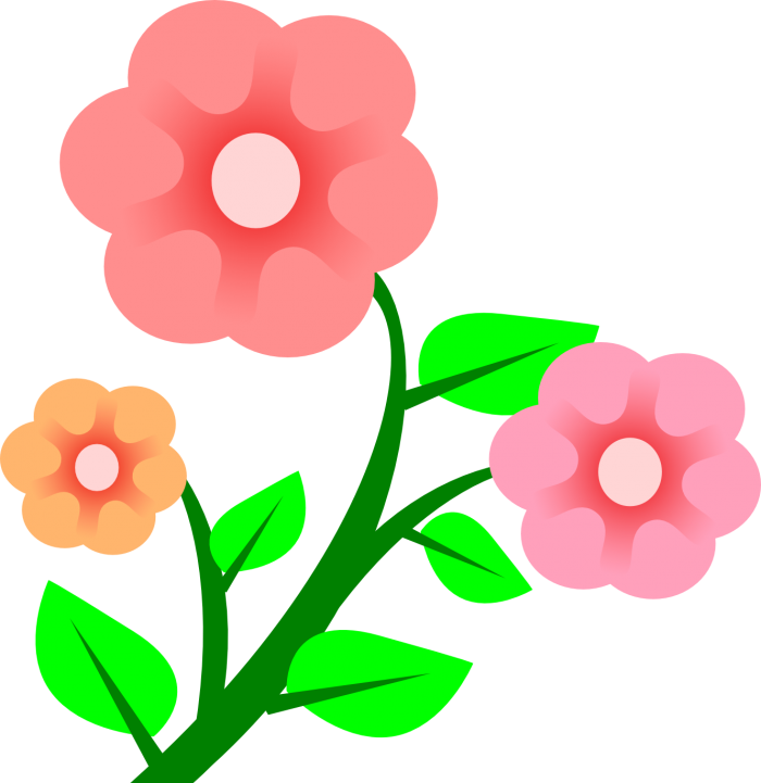 Blooming Flower Clipart - Png Download (576x599), Png Download