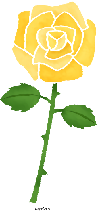 Transparent Flowers Garden Roses Rose Pink For Rose - Floribunda Clipart (600x730), Png Download