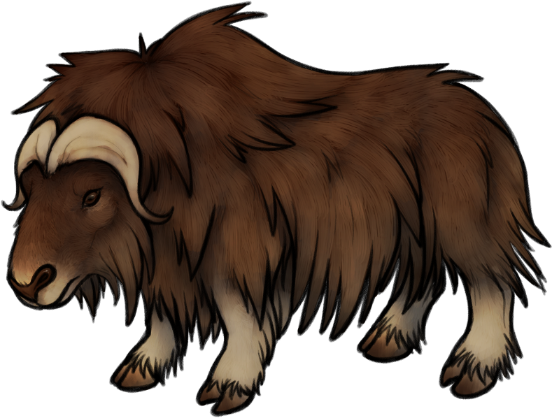 Ox Clipart Pencil Sketch - Musk Ox Clipart - Png Download (932x748), Png Download