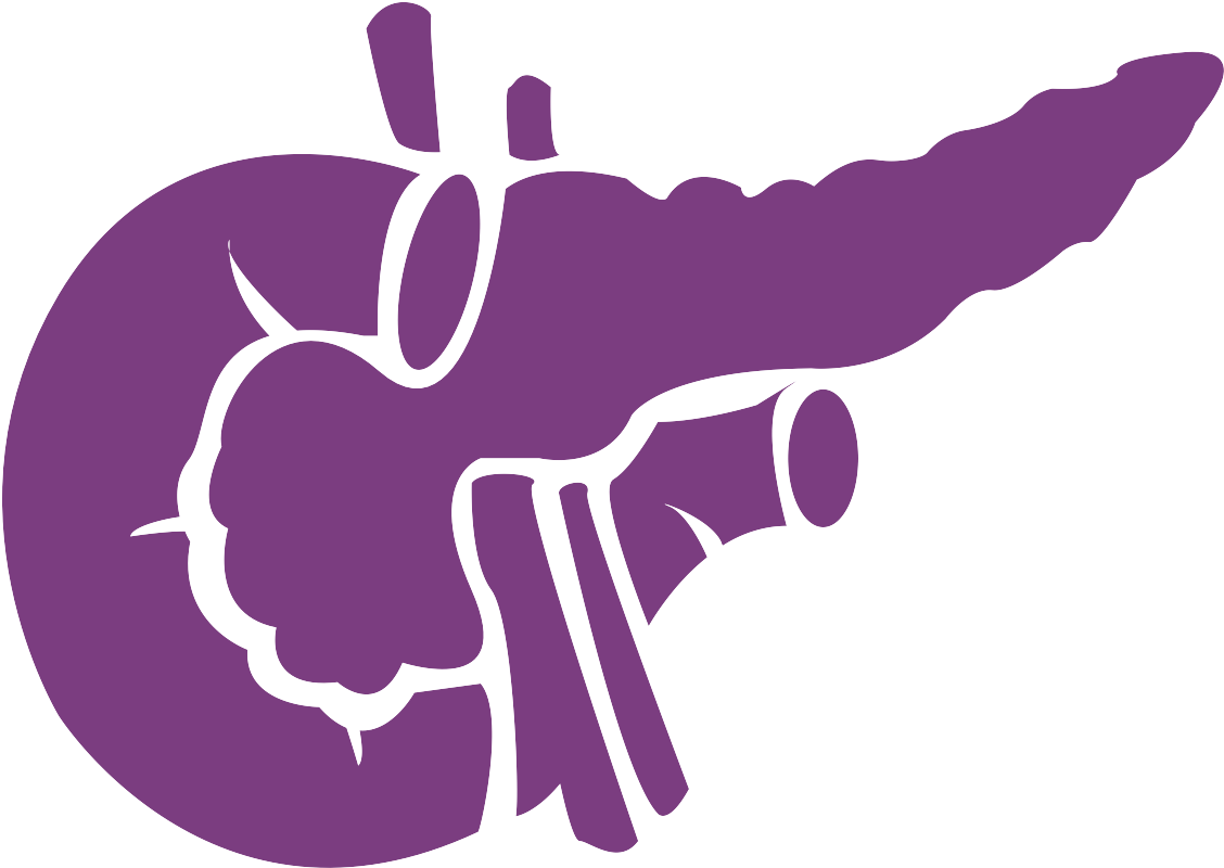 Pancreas Noun 959960 7b3d80 - Pancreatic Logo Clipart (1128x800), Png Download