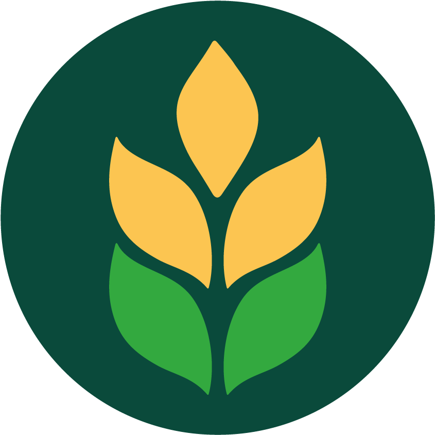 Camera Icon Clipart (868x874), Png Download