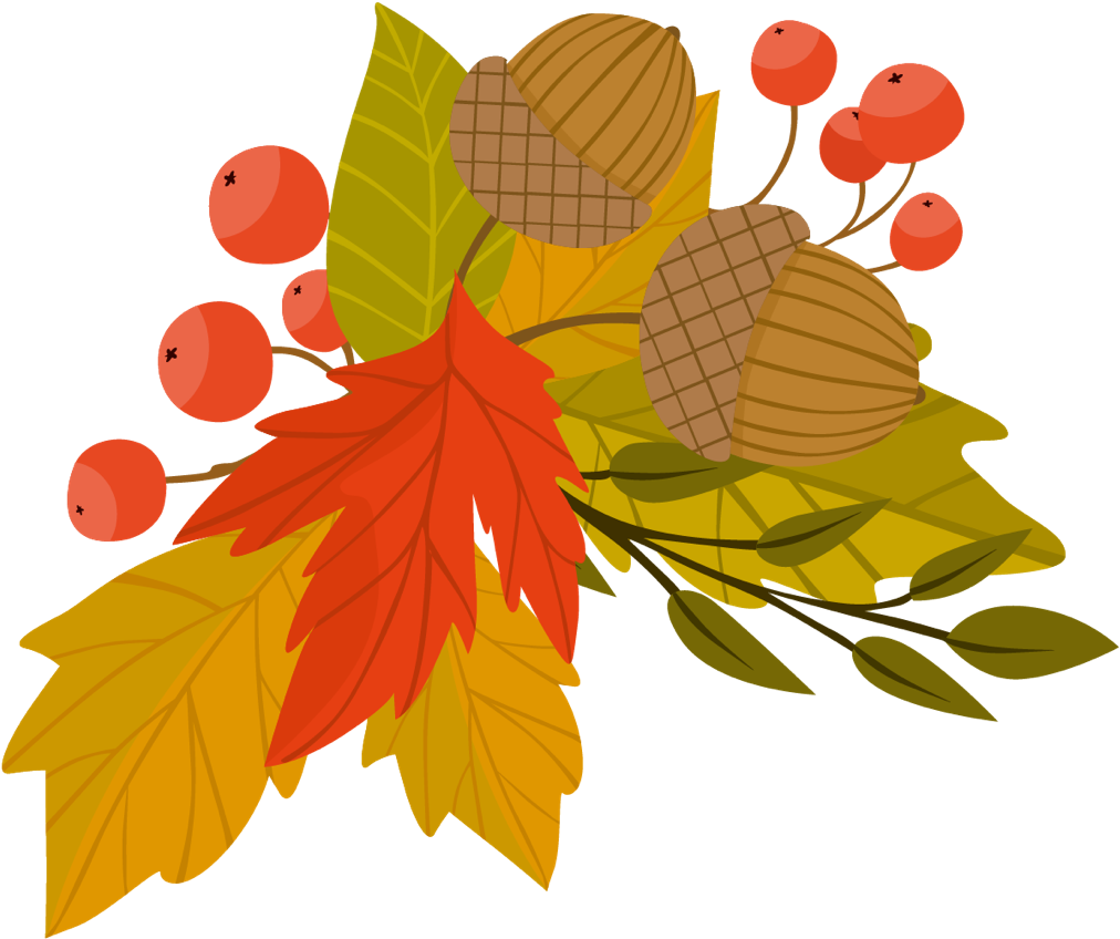 #fall #autumn #leaves #acorn #fallleaves #fallcolors - Leaf Clipart (1119x964), Png Download
