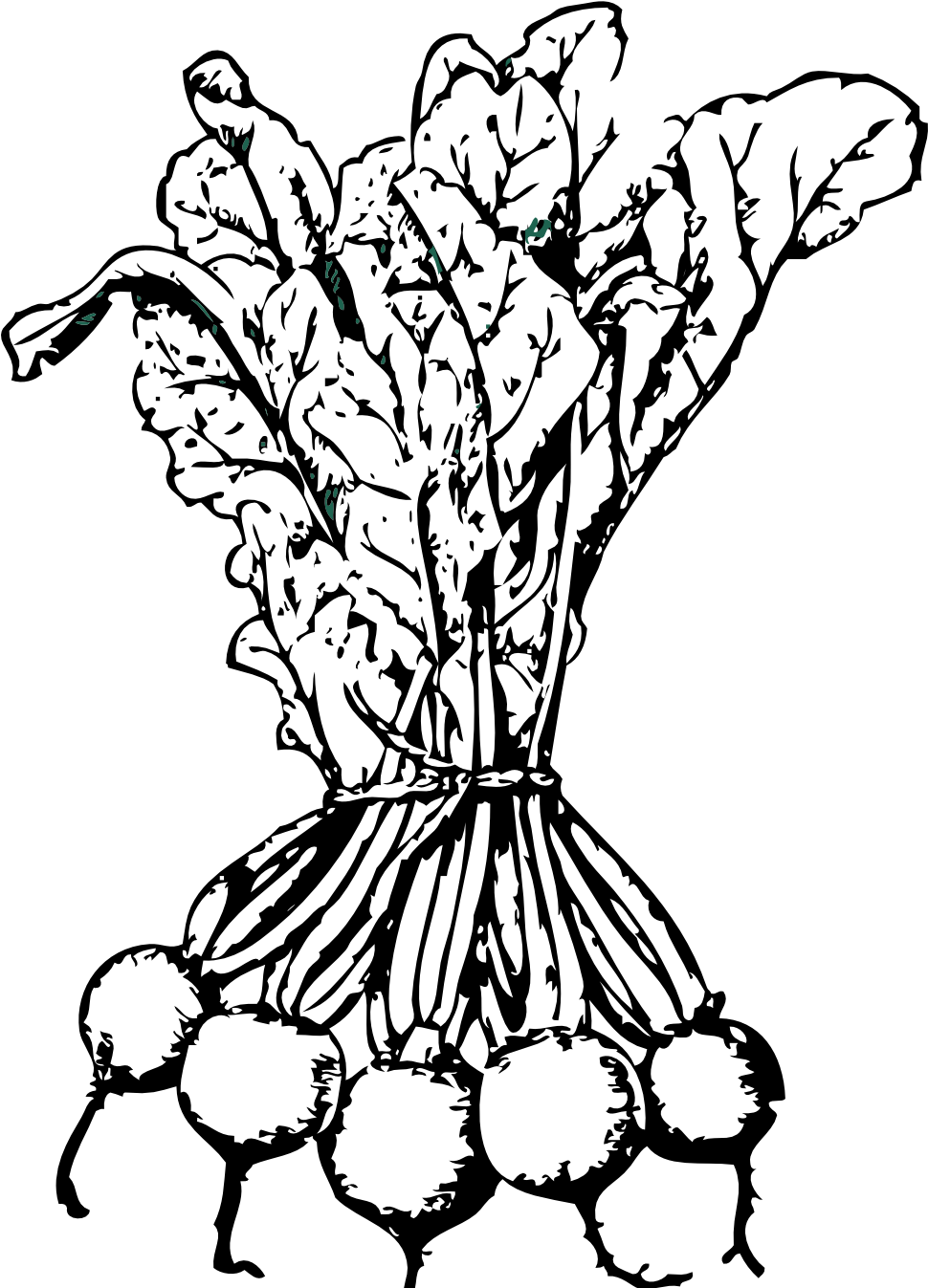 Beets Black White Line Art - Beets Clip Art - Png Download (969x1355), Png Download