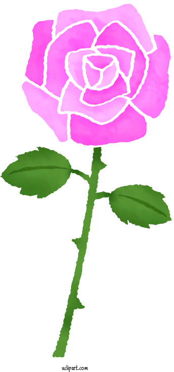 Transparent Flowers Garden Roses Drawing Color For - イラスト 紫 の バラ Clipart (600x730), Png Download
