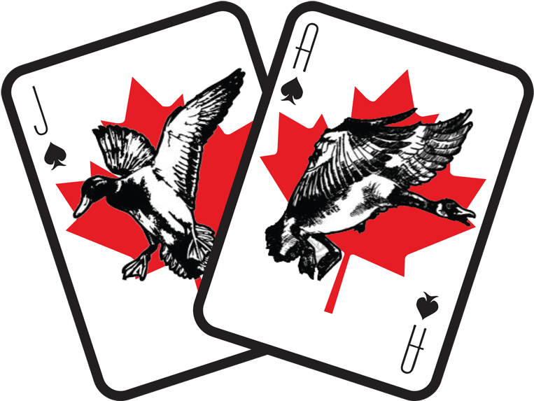 Bjo Logo-min - Illustration Clipart (800x608), Png Download