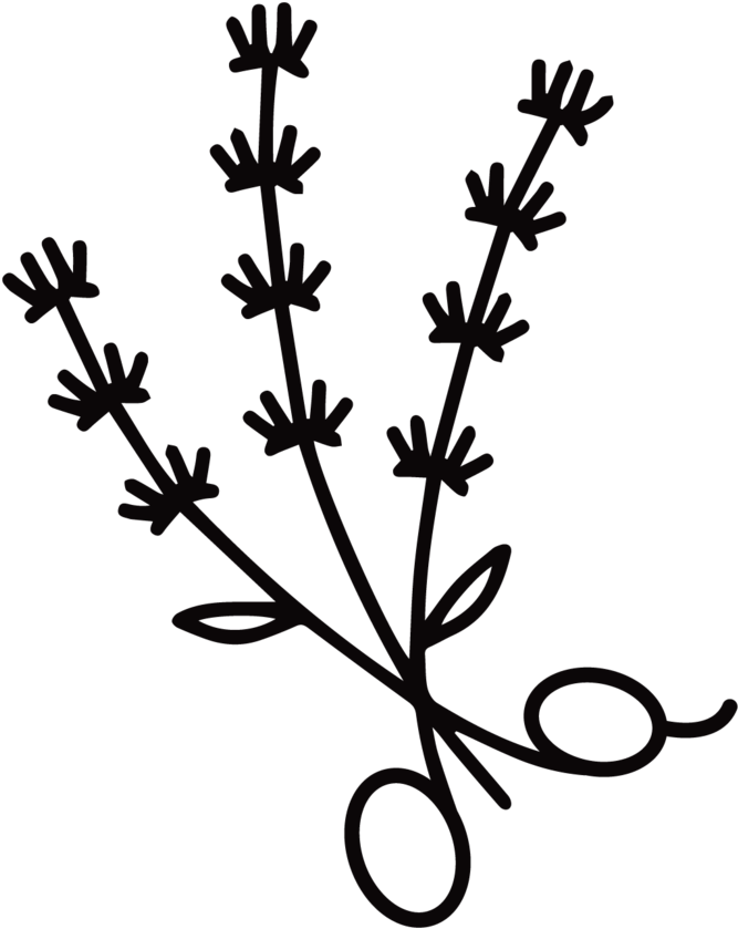 Final Lavender-03 Clipart (1000x914), Png Download