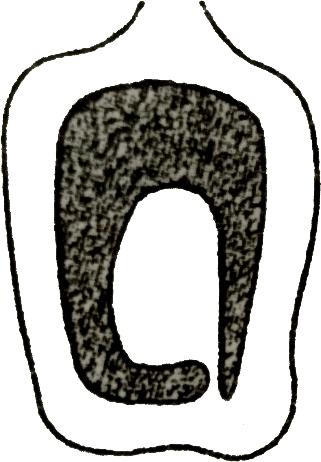 Clip Art - Png Download (1304x1712), Png Download