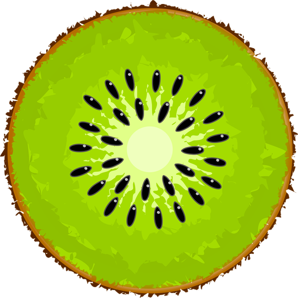Kiwi-slice - Kiwi Clipart - Png Download (594x594), Png Download