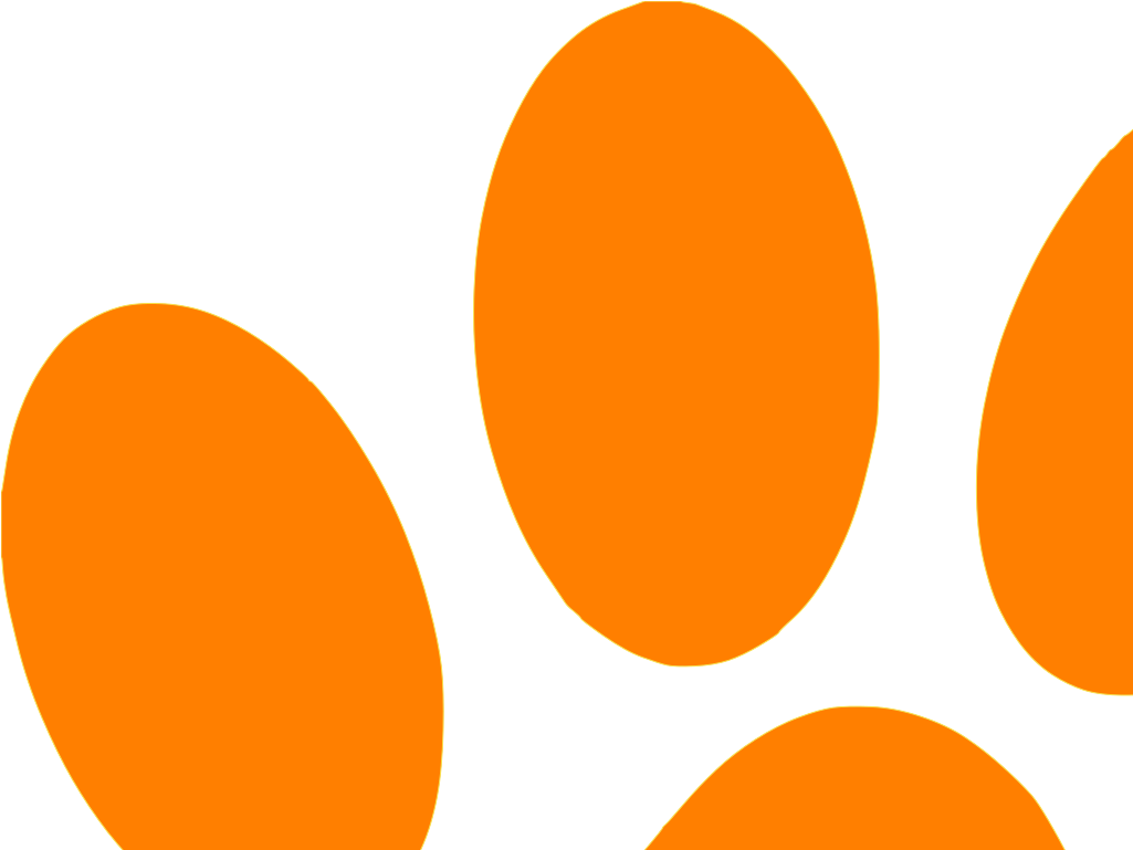 Blues Clues Orange Paw Svg Clip Arts - Circle - Png Download (1024x1024), Png Download