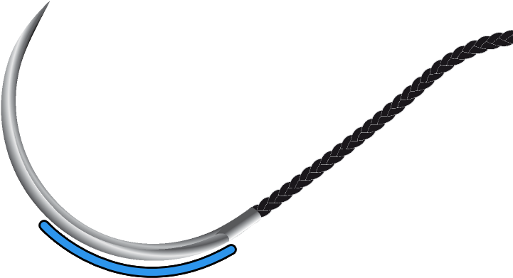 Clip Art - Png Download (1150x467), Png Download