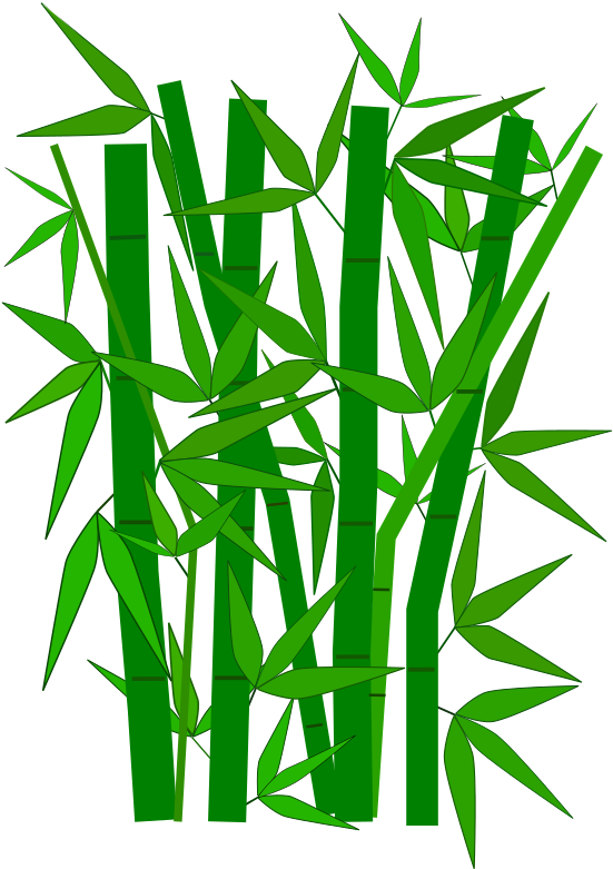 Bamboo Clipart - Bamboo Leaves Clipart - Png Download (565x800), Png Download