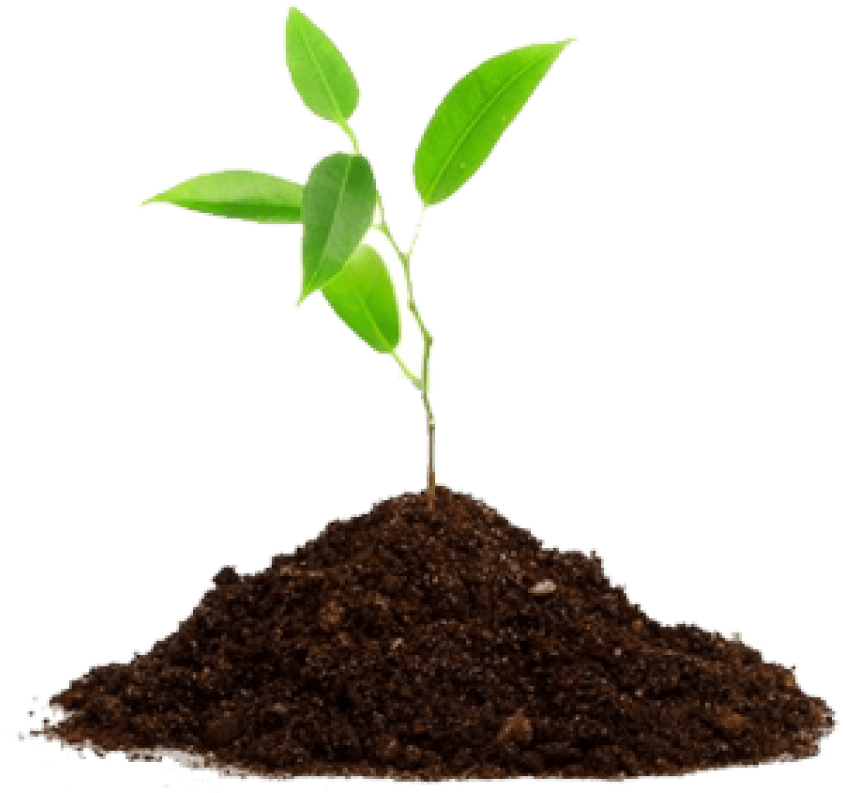 Agriculture Png Transparent Images - Plant In Soil Png Clipart (850x797), Png Download