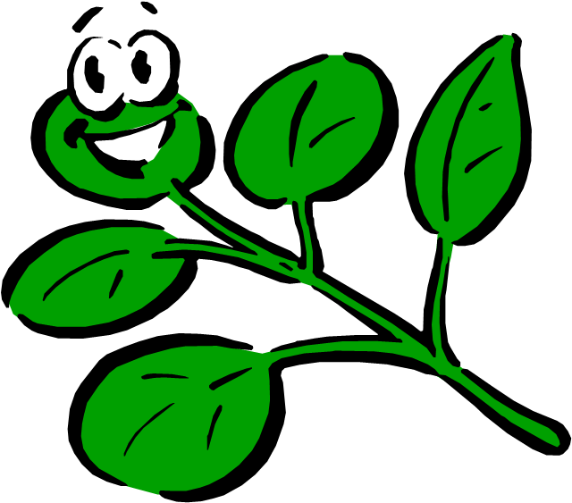 Parts Of The Plants - Cartoon Plant With Face Clipart (645x571), Png Download