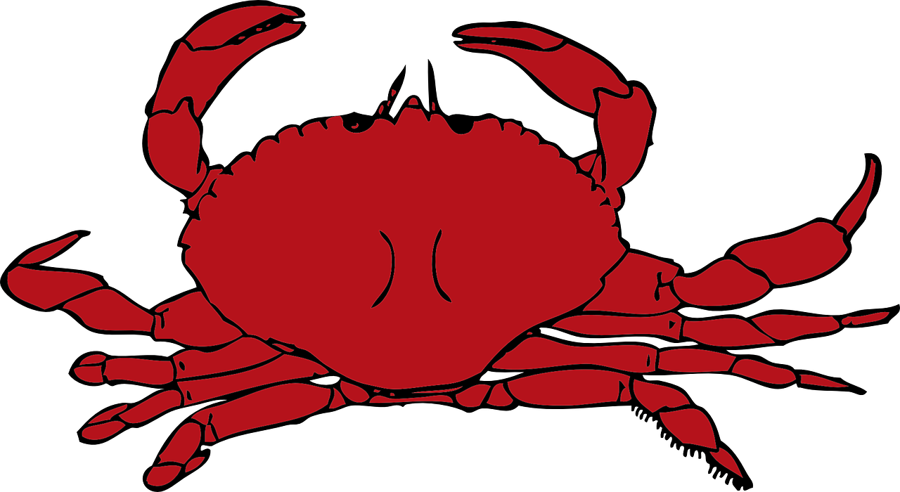 Life,cooked,free Vector Graphics,free Pictures, Free - Crab Png Clipart Transparent Png (1280x700), Png Download
