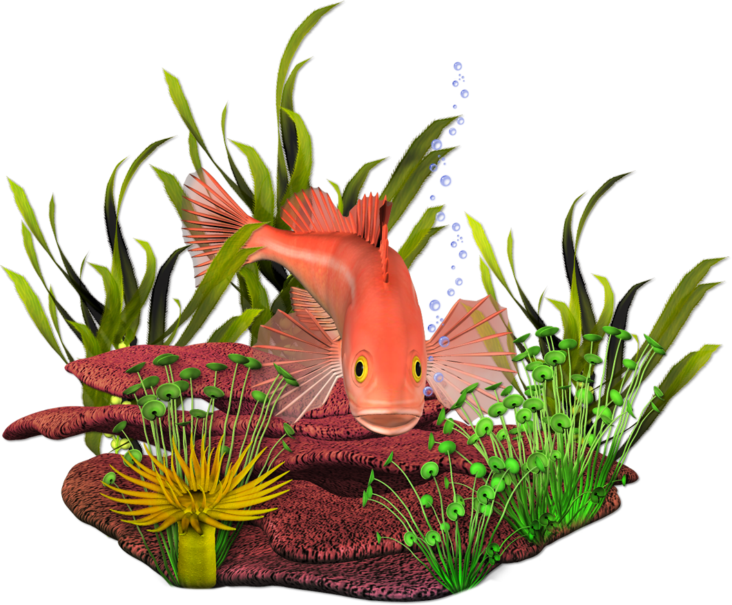 Transparent Ocean Plants Clipart - Newest Cute Critter Clipart With Transparent Backgrounds - Png Download (1060x876), Png Download