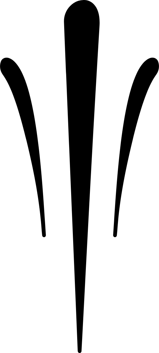 Clip Art - Png Download (550x1217), Png Download