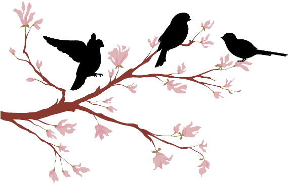 Lovebird Branch Silhouette - Silhouette Bird On Tree Branch Clipart (600x527), Png Download