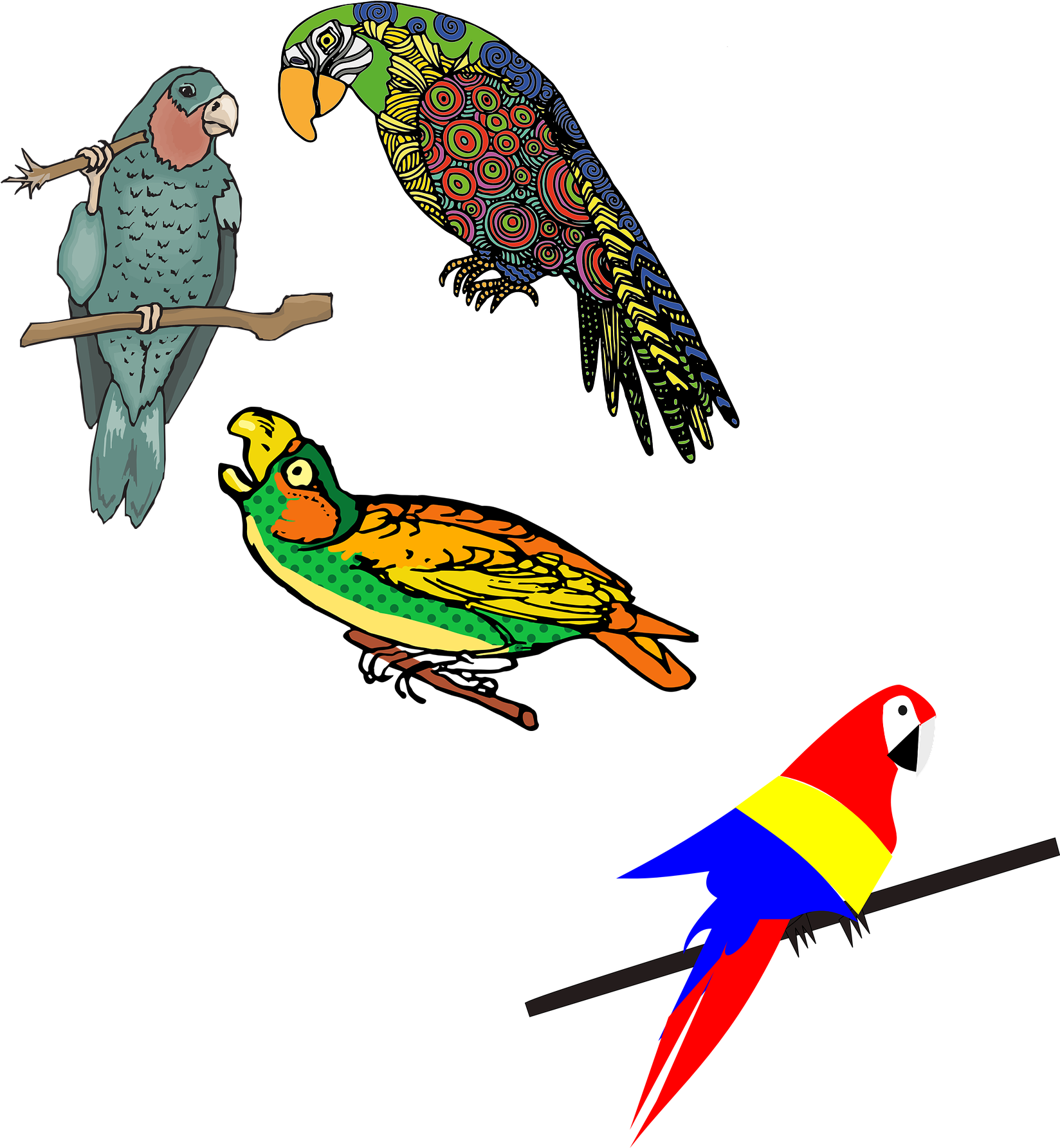 Vector Parrot Colored - Loros De Colores Dibujos Clipart (1822x1822), Png Download