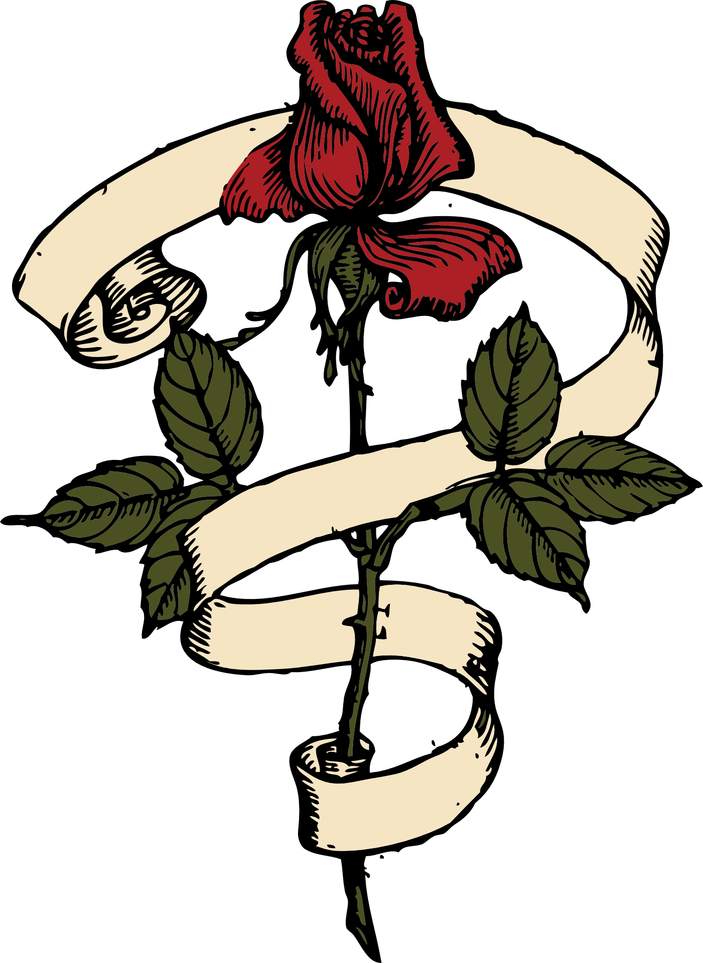 Rose With Scroll Vector Drawing - Rose With Ribbon Around Clipart (600x600), Png Download