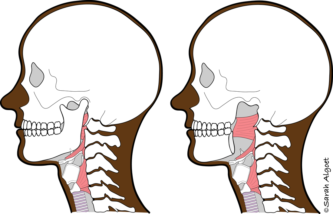 Picture - Illustration Clipart (1100x708), Png Download