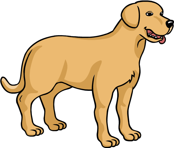 Dog Breed Puppy Labrador Retriever Como Dibujar - Cómo Se Dibuja Un Perro Clipart (600x600), Png Download