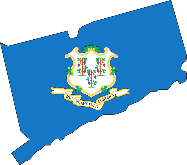 Flag, Outline, States, State, United, America - Connecticut Flag Clipart (640x566), Png Download