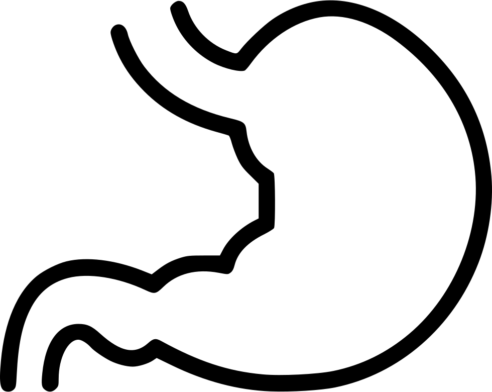 Png File - Stomach Clipart Black And White Transparent Png (980x780), Png Download