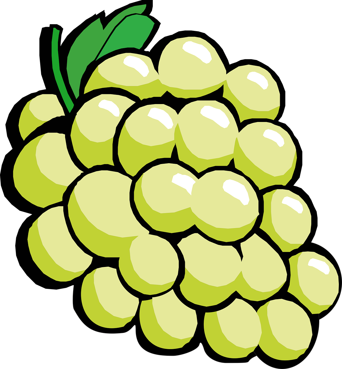 Green Grapes Clipart - Png Download (1188x1280), Png Download