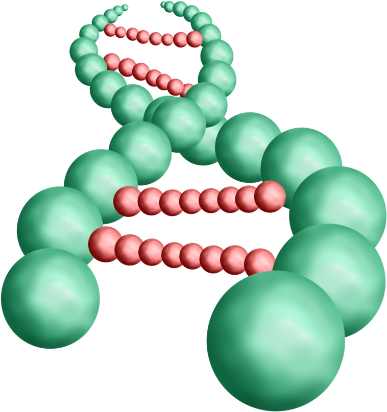 Free Science Animated Gif, Download Free Clip Art, - Science Animated Gif Png Transparent Png (894x894), Png Download