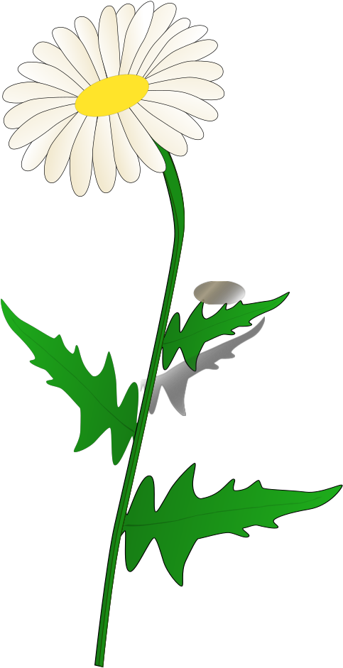 Daisy Modification Svg Clip Arts - Daisy Clip Art - Png Download (1024x1024), Png Download