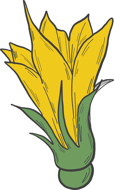 Pumpkin Flower Clipart - Png Download (481x800), Png Download