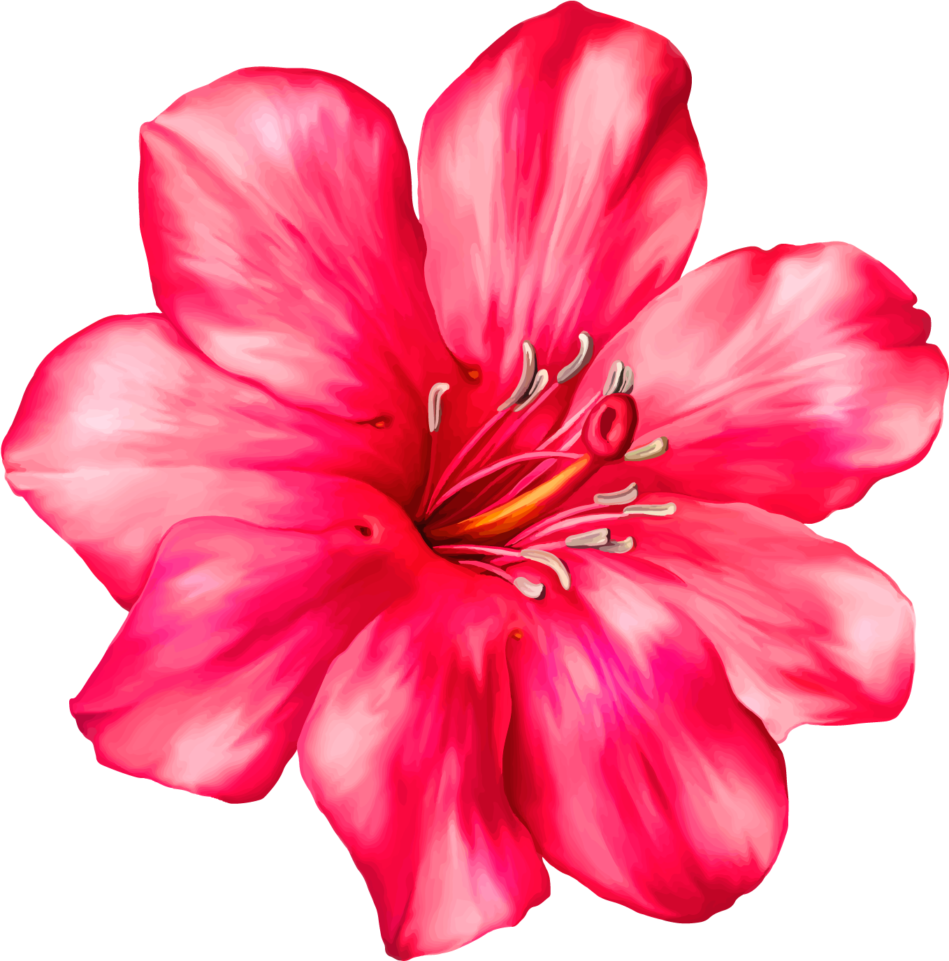 Pink Clipart Flower Image Transparent Library Exotic - Realistic Clip Art Flowers - Png Download (1414x1393), Png Download