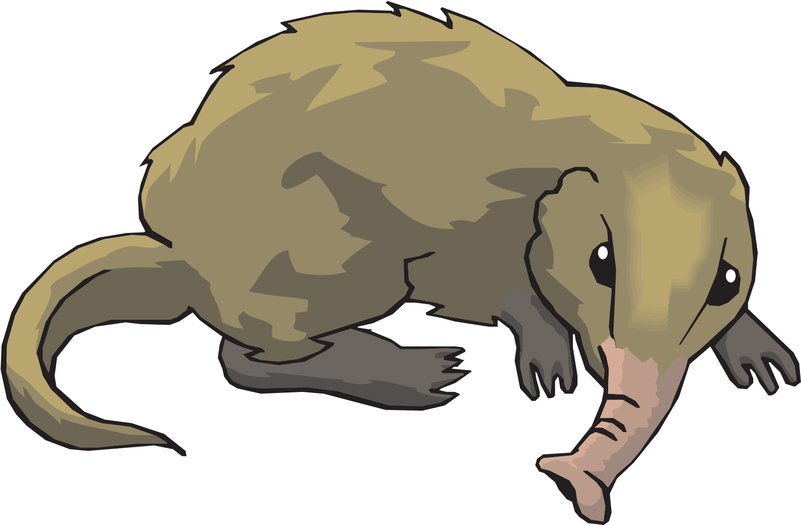 Greater White Toothed Shrew Clipart - Png Download (1600x1600), Png Download