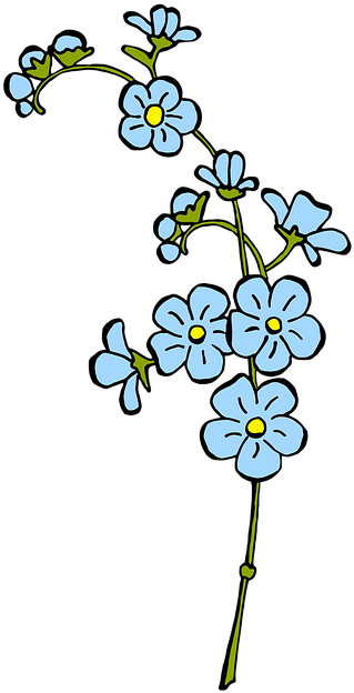 Clip Art - Png Download (432x720), Png Download