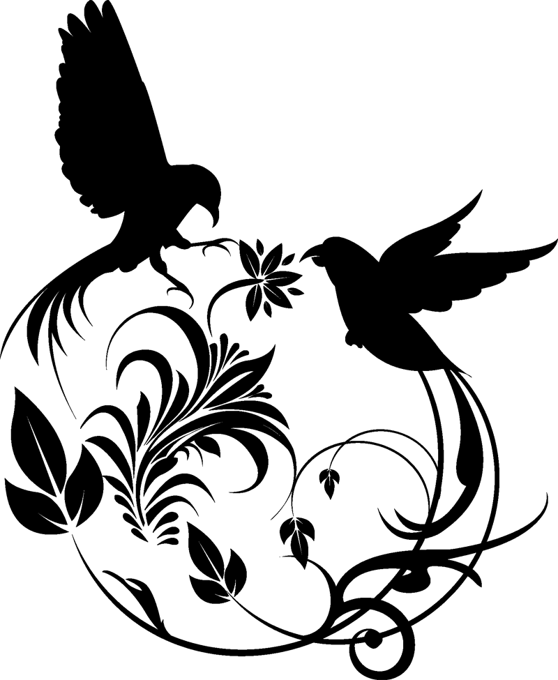 Birds Design Black And White Clipart (800x975), Png Download