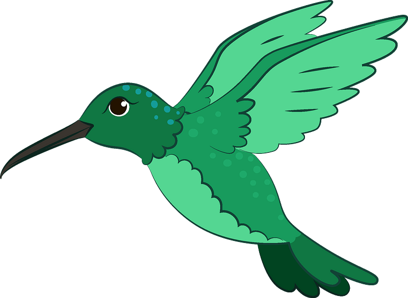 Hummingbird Clipart - Png Download (800x585), Png Download