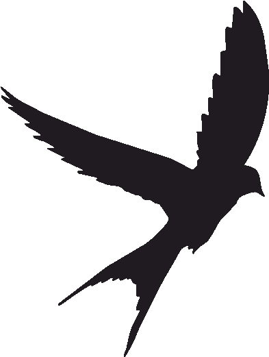Bird Swallow Tattoo Sparrow The Sims - Scissor Tailed Flycatcher Silhouette Clipart (800x800), Png Download