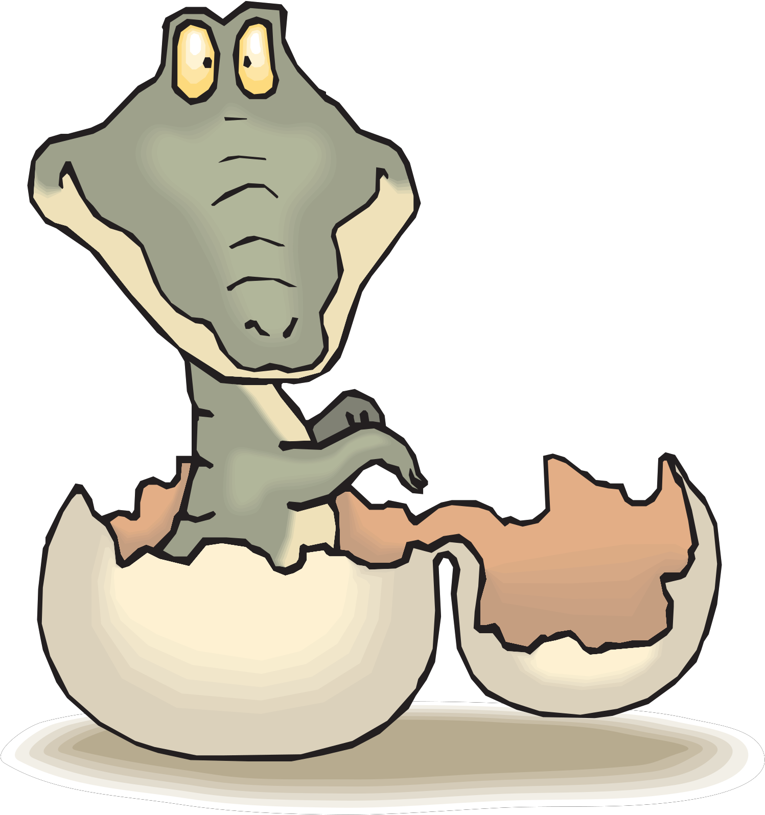 Alligator Hatching Clipart - Png Download (1600x1600), Png Download
