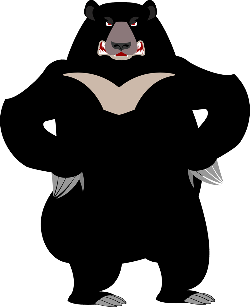 Bears Clipart (800x982), Png Download