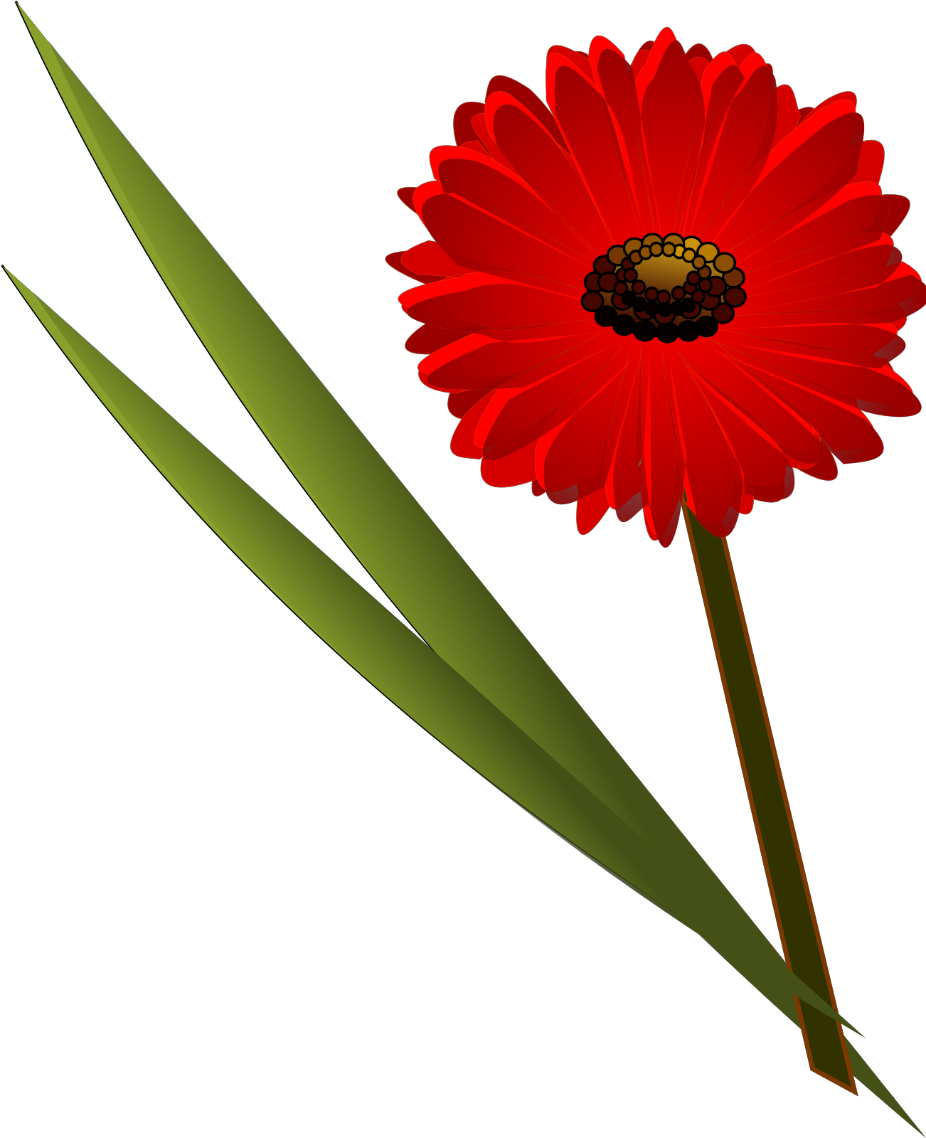 Flower Clip Art - Png Download (1600x1600), Png Download