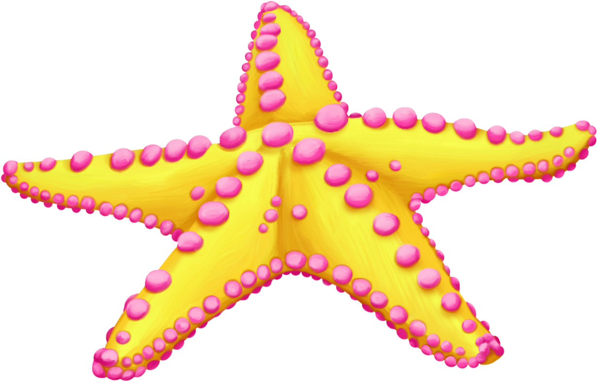 Starfish Clip Art Sea Image - Starfish Clipart Png Transparent Png (1280x831), Png Download