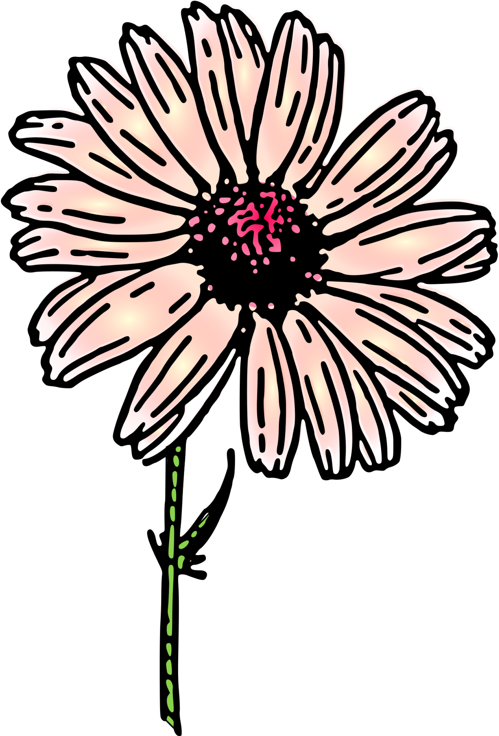 Colored Daisy 2 Small Clipart 300pixel Size, Free Design - Clip Art - Png Download (608x900), Png Download