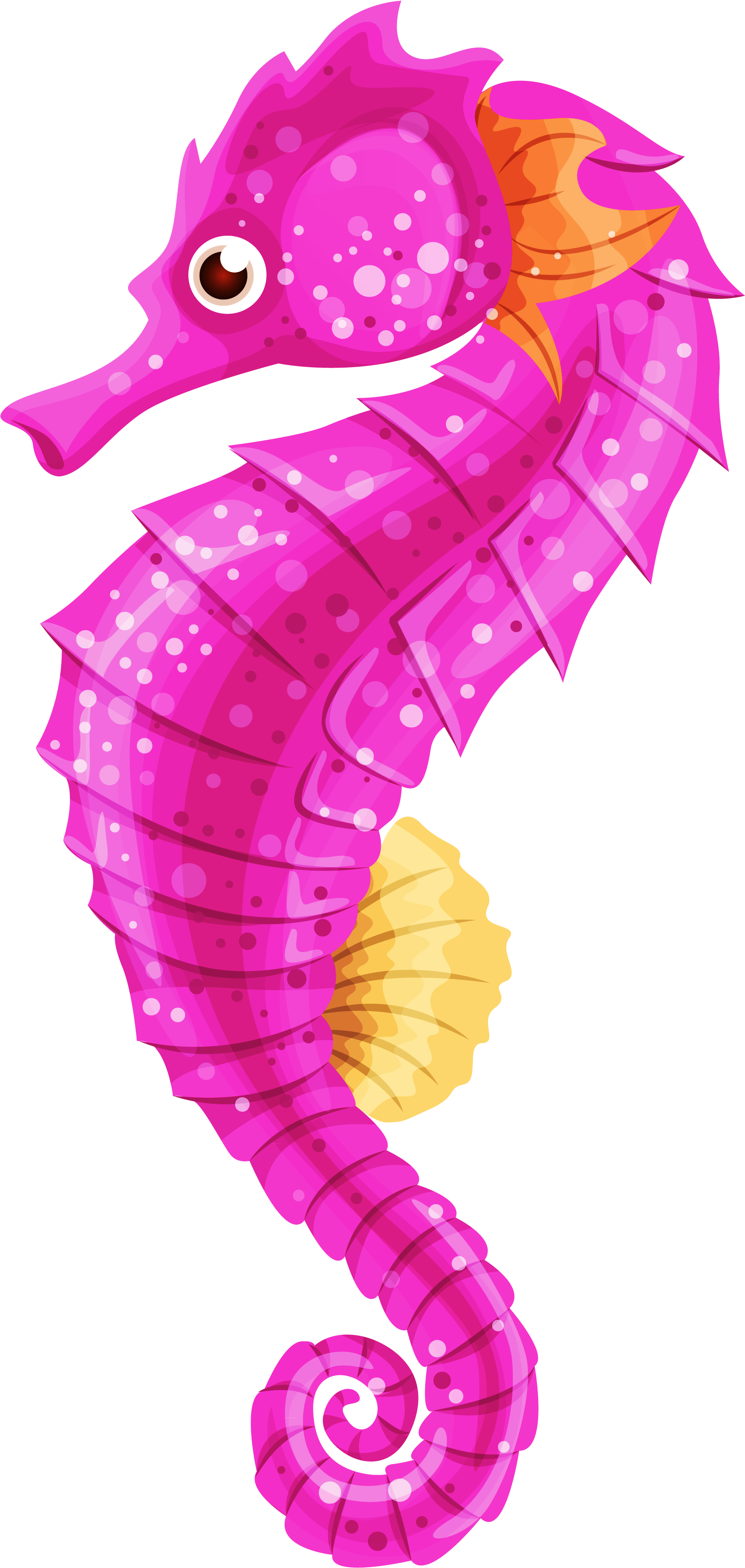 Seahorse Clip Art - Clip Art Sea Horse - Png Download (1896x3851), Png Download