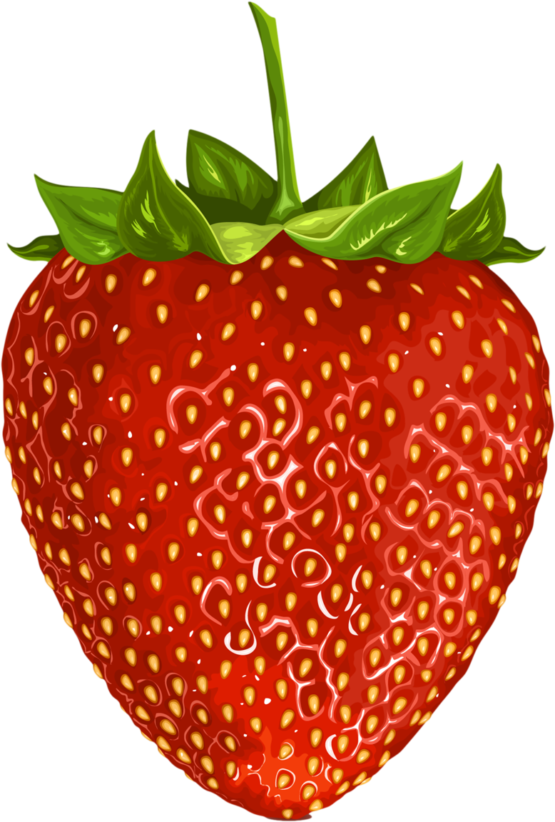 Фотки Fruit Clipart, Food Clipart, Fruits Images, Fruits - Clipart Picture Of Fruits - Png Download (778x1151), Png Download