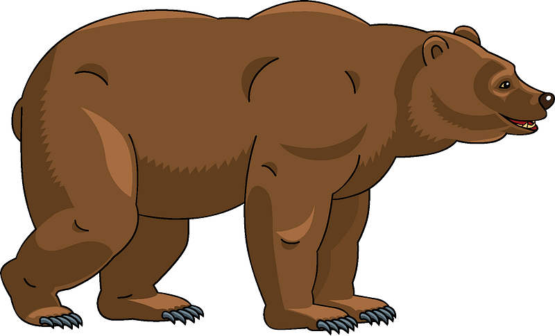 Bear Clipart - Grizzly Bear - Png Download (800x484), Png Download