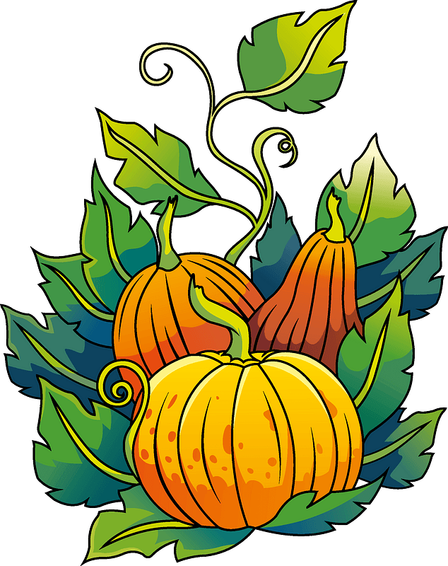 Pumpkins Clipart - Pumpkin - Png Download (634x800), Png Download