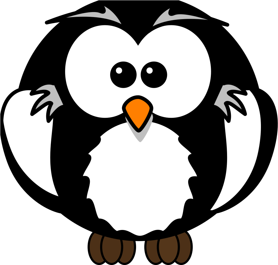 Cartoon Owl Png Clipart (1600x1600), Png Download